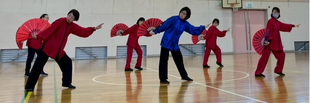 シクラメン扇１