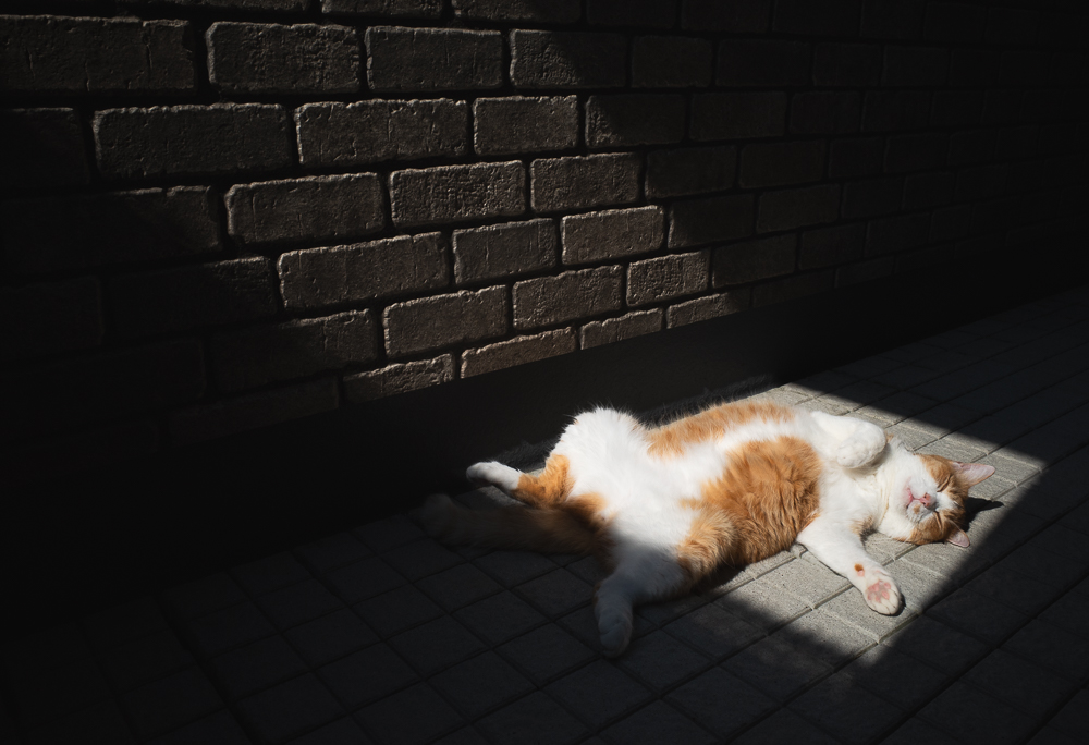 2026年2月伊藤智通体育館展示作品