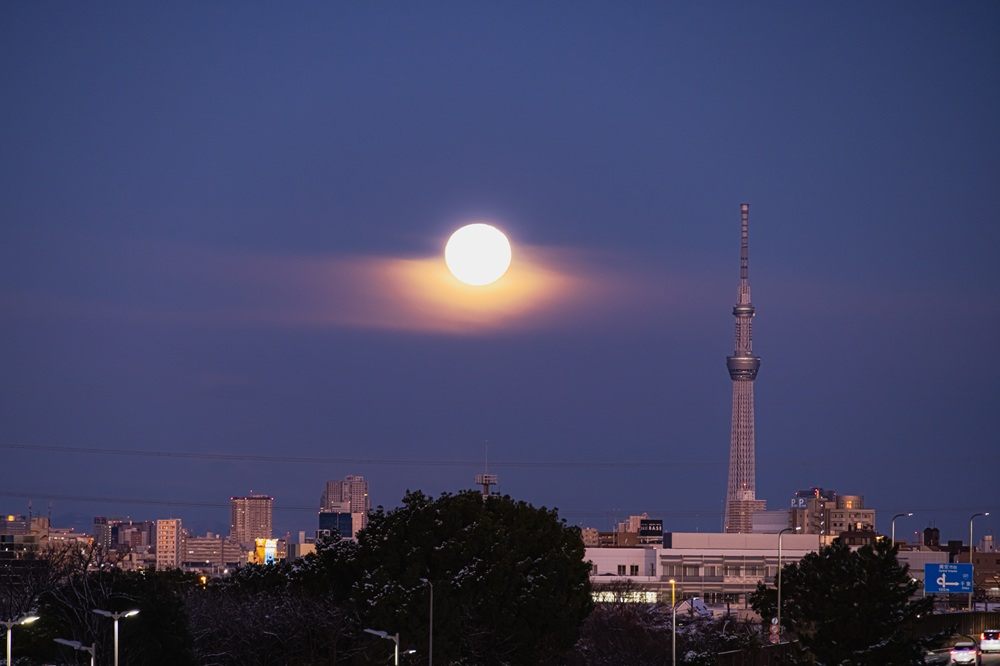 2602ホール稲石実