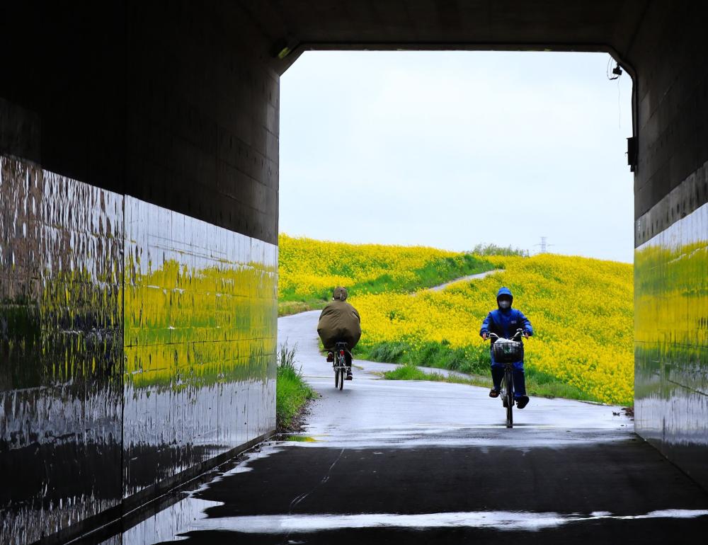 大多和矢切1R50_4036