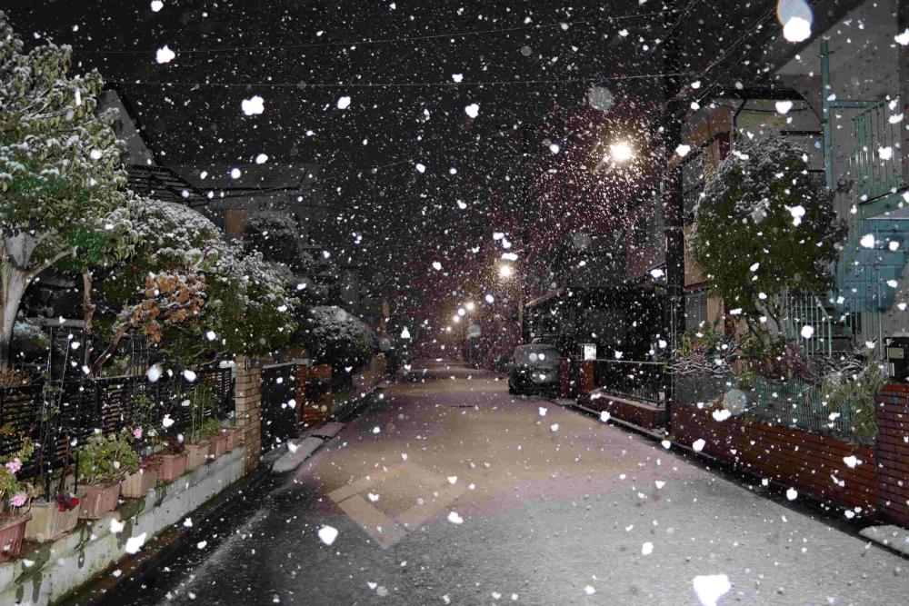 IMG_2602通路（齊當）