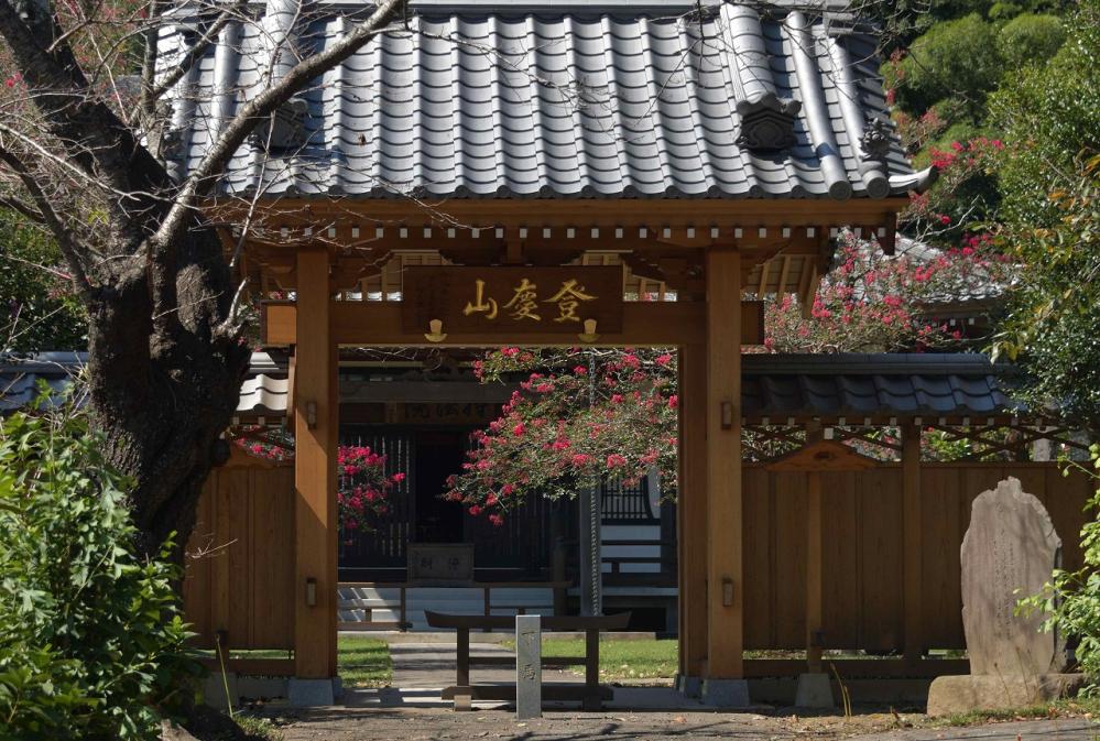 DSC_3074_山門を彩る百日紅