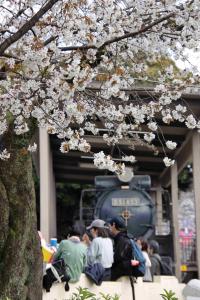 2604ホール齊當 (2)