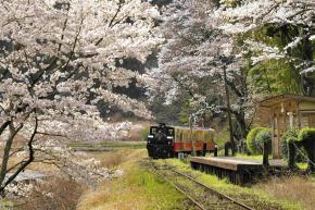 DSC02994(26.4ホール貝和)