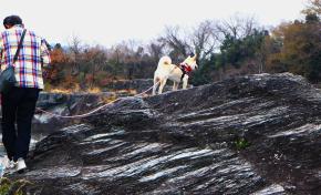 202604体育館通路大多和