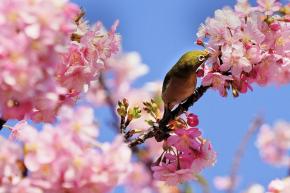 DSC02355★★★(26.4通路貝和)