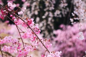 202604体育館ホール大多和