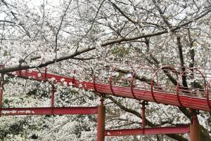 2026.4ホール河合DSC_5178