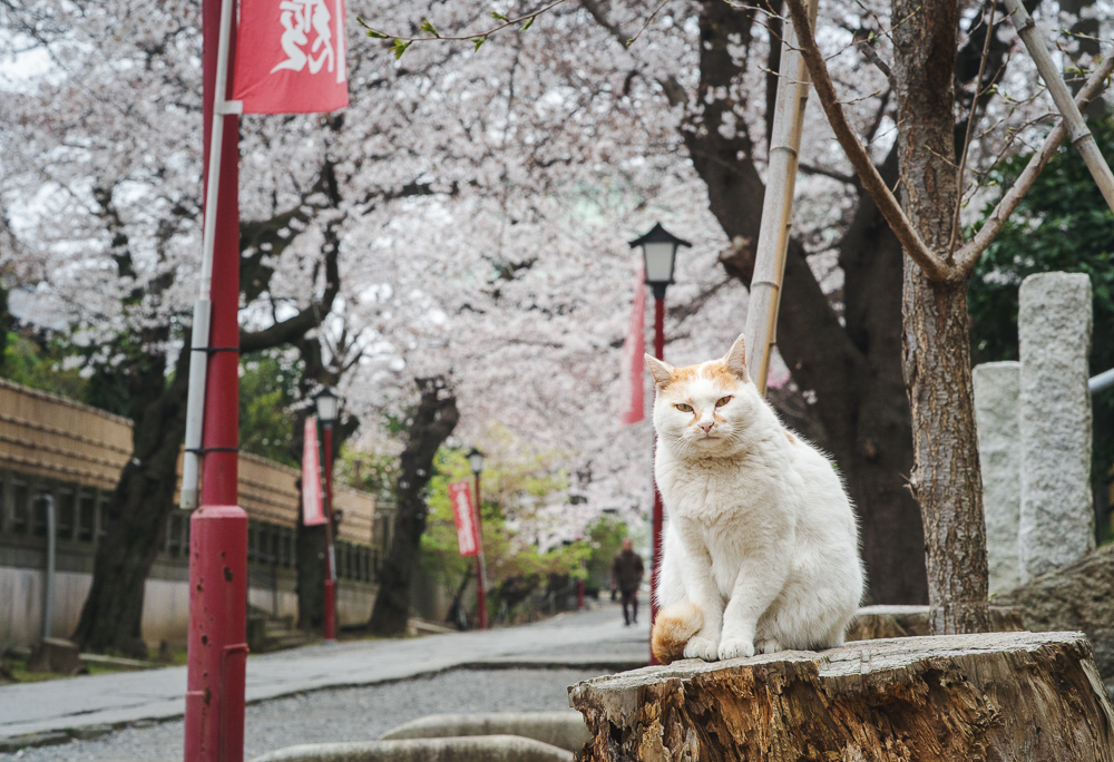 伊藤智通2026年4月体育館展示作品