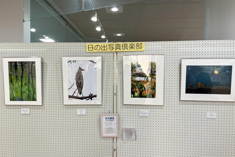 展示作品jpg