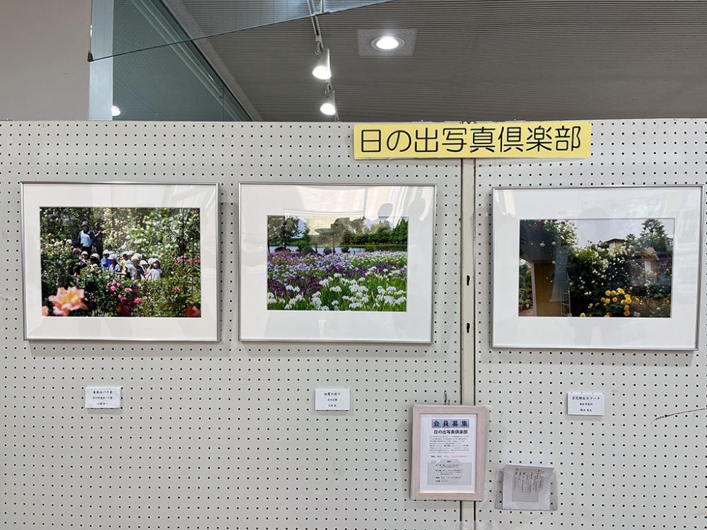 ロビー展示