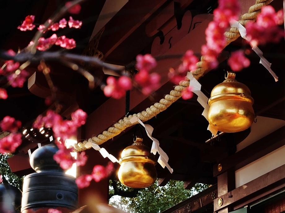 梅香風に揺れて