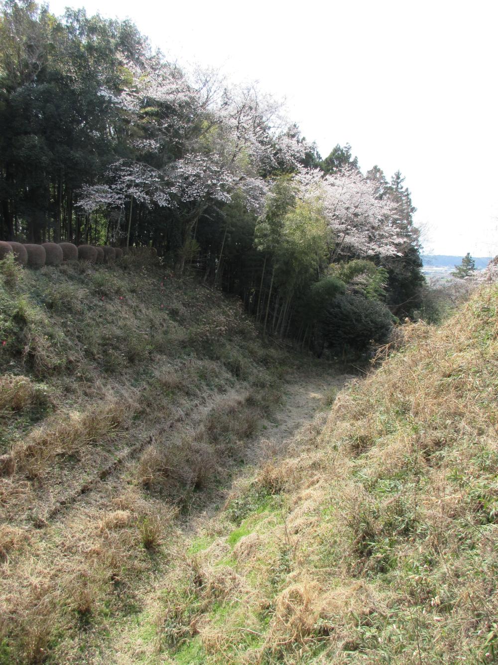 黒羽城土塁