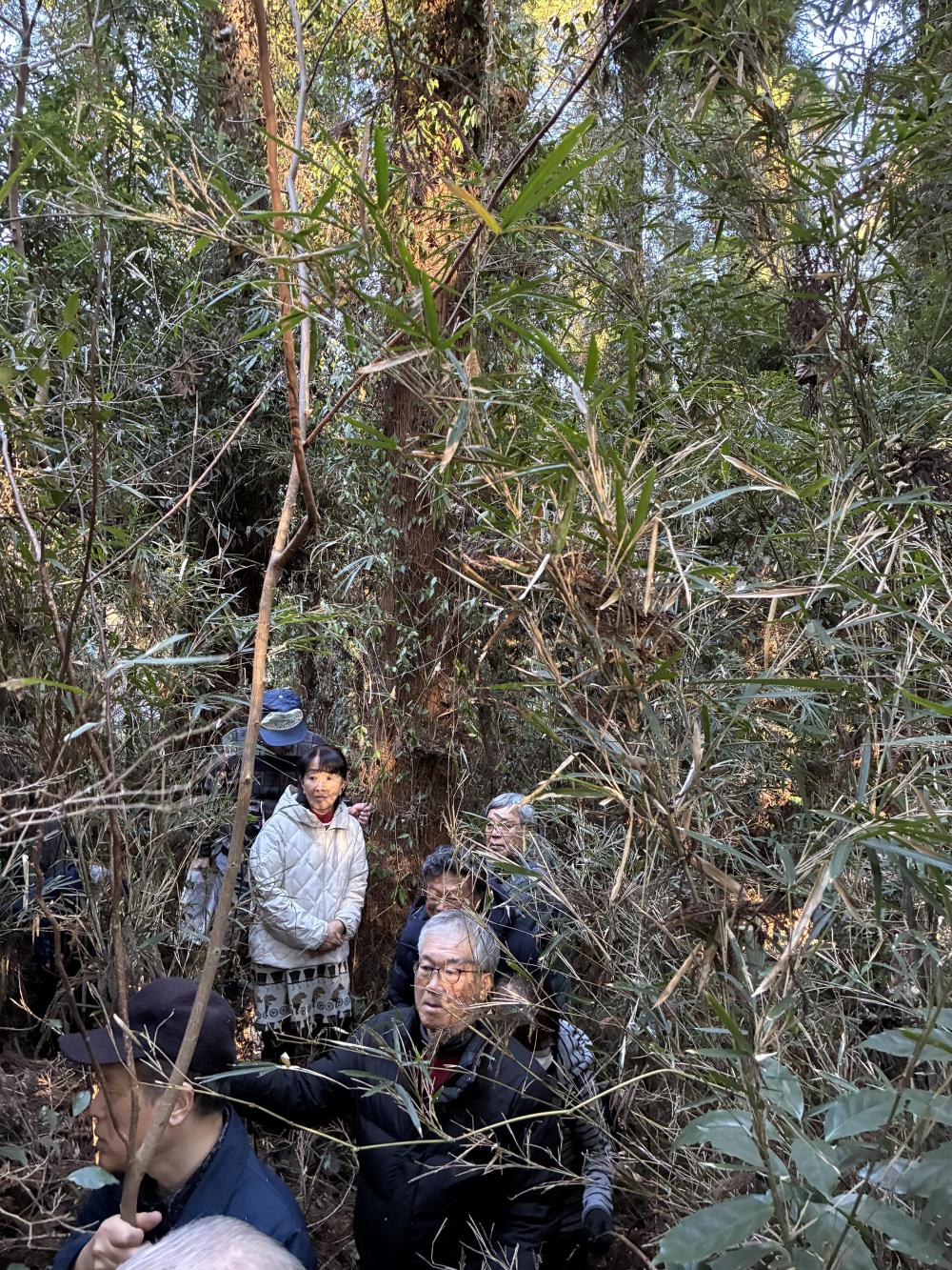 油井対戦車堀切