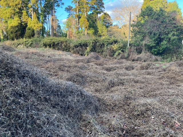 油井の御成街道沿いの埋め立て地